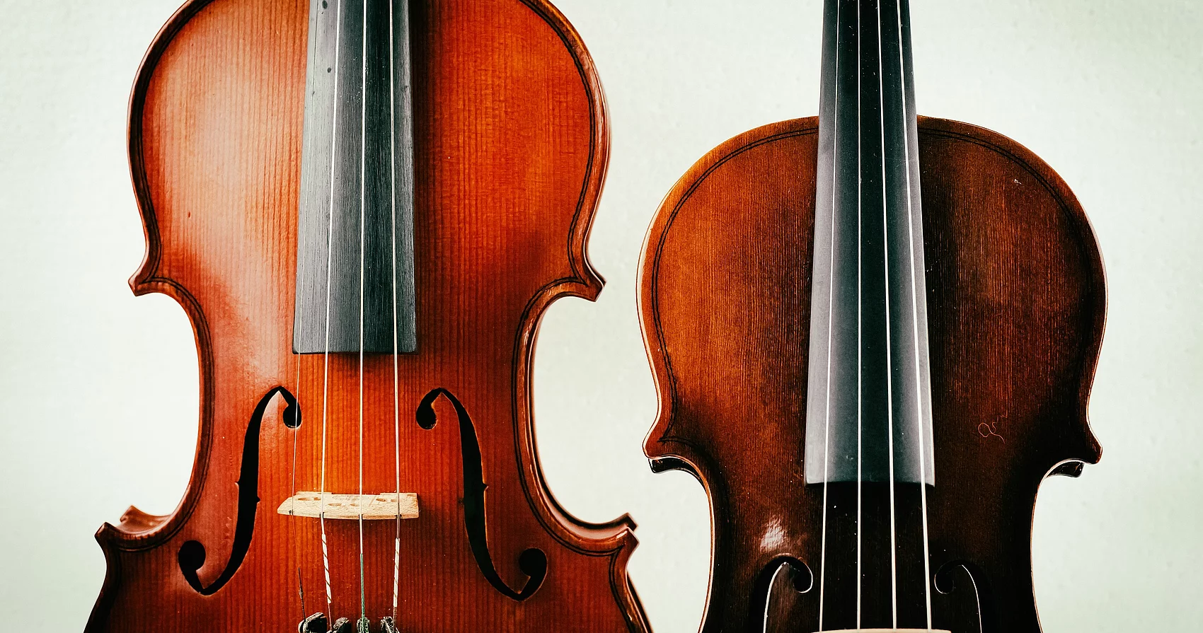 Viola oder auch Bratsche