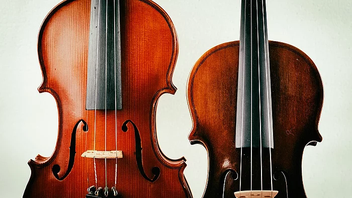 Viola beziehungsweise Bratsche