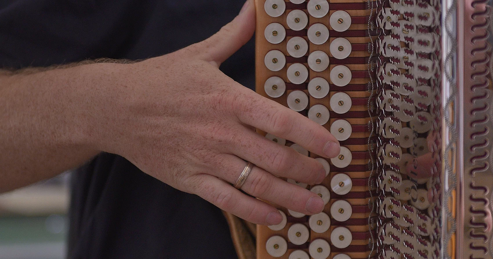 Steirische Harmonika