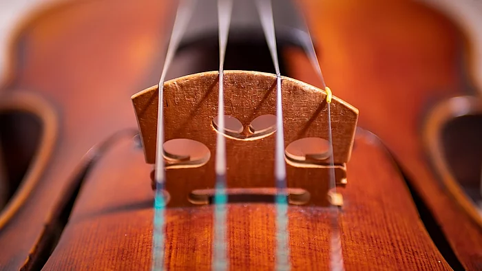 Violine Nahaufnahmen