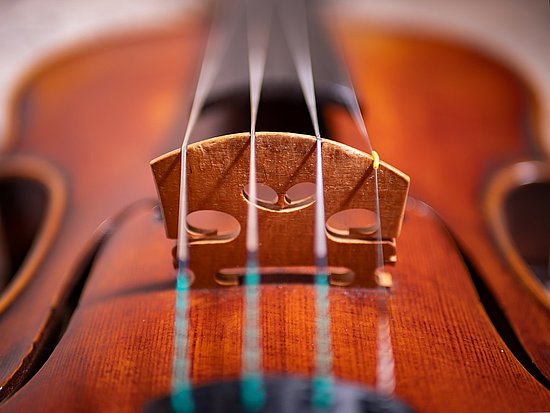 Violine Nahaufnahmen